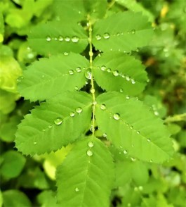 情绪与季节