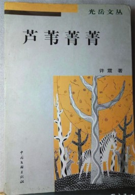 散文集《芦苇菁菁》的新型文学追求——读许震先生的散文集《芦苇菁菁》