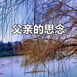 怀念父亲