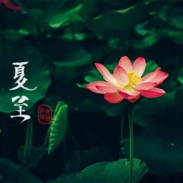 父亲与夏至