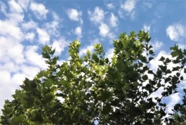走进街巷去散步