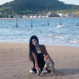 零投资，高利润，一年赚100万