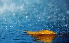 风雨之夜，我在自言自语