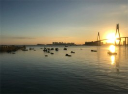 让历史走进现实——读何杰先生《广州湾现场》