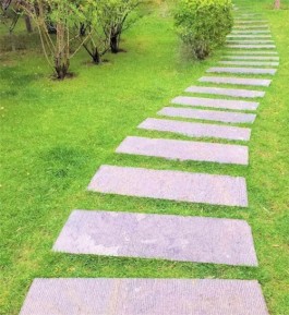 喜欢的事没大小
