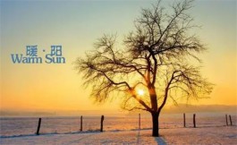 2024适合上班族的手机赚钱软件有哪些？推荐3款手机做副业APP