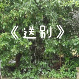 盛夏送别离