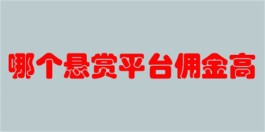 2024年哪个悬赏平台佣金高？盘点5个正规的做任务赚钱平台