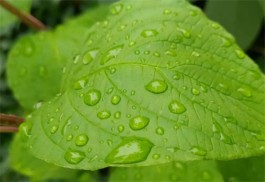 追逐每一场雨声