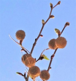 瞬间的记忆