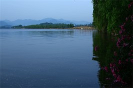 醉在杭州