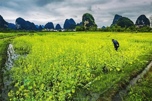 小溪春水