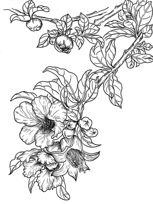 石榴花开