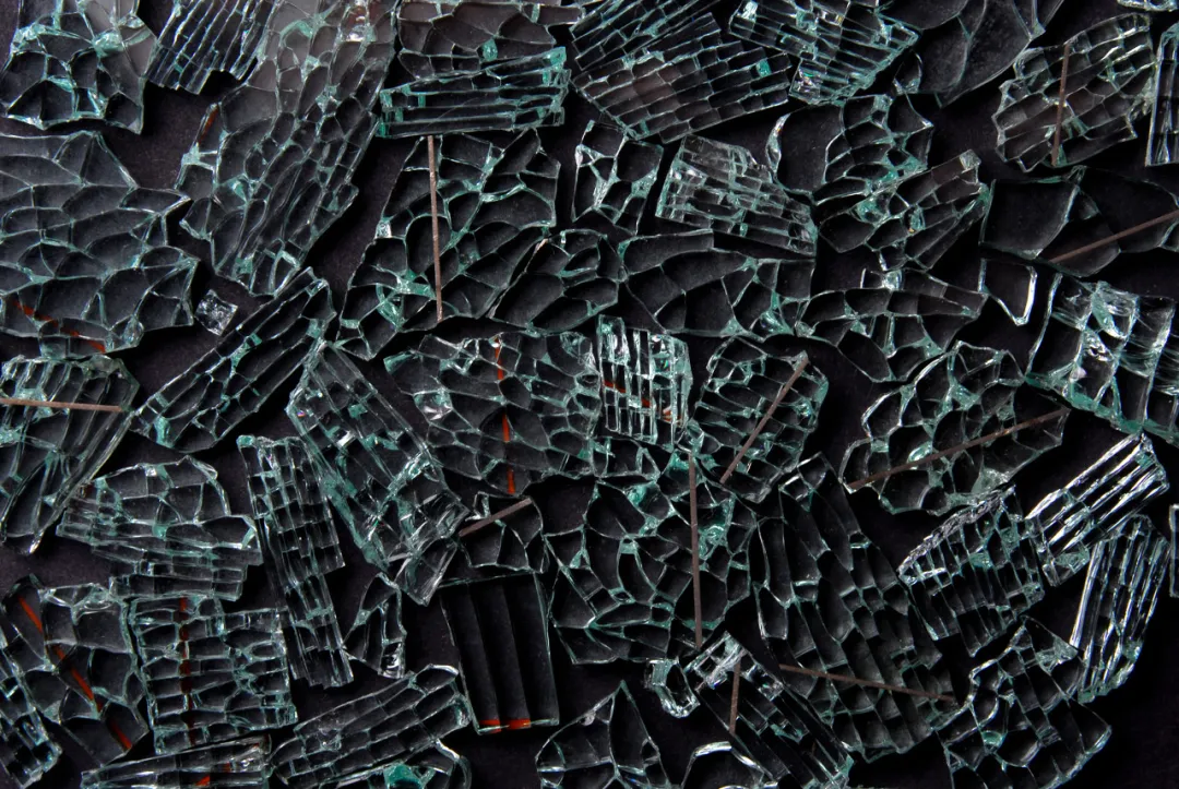 一公斤赚50元，一年能赚70万！