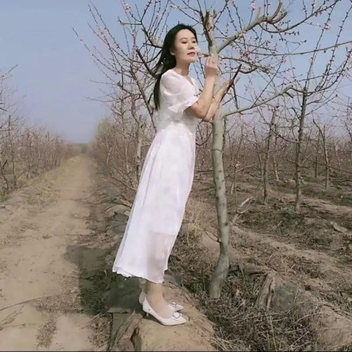 现在正规的做任务赚佣金app有哪些？