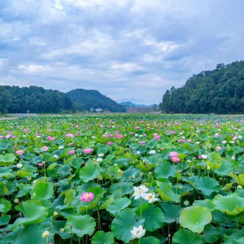 适合学生兼职一单一结微信的软件（不用交钱的手机在线兼职）