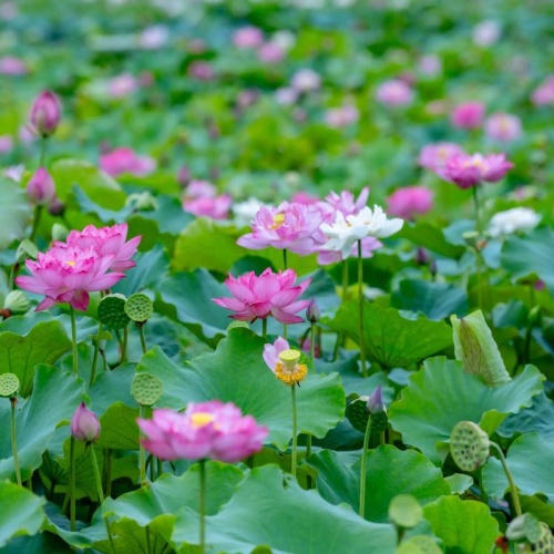 正规做任务一单一结的赚钱平台（在手机上做任务的赚钱软件）