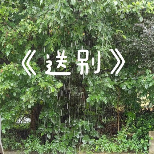 盛夏送别离